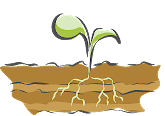 Soil Management